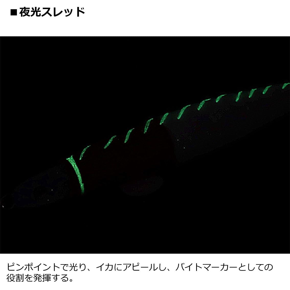 Amazon | ダイワ(DAIWA) エメラルダスイカメタルスッテ TG25号